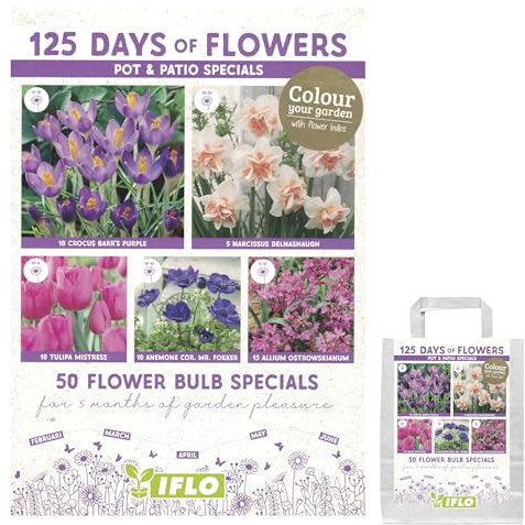 Blumenzwiebeln in Geschenkverpackung - Zwiebeln, Knollen verschiedener winterharter Pflanzen für Garten und Balkon - bunt, mehrjährig, für Topf und Beet (Pot & Patio Specials 50St.)