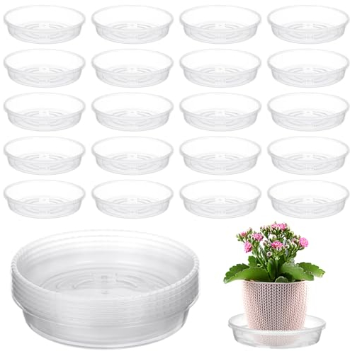 Vergissmeinnicht 30 sottovasi trasparenti da 10,2 cm, in plastica trasparente resistente, per piante da giardino e fiori da interno ed esterno