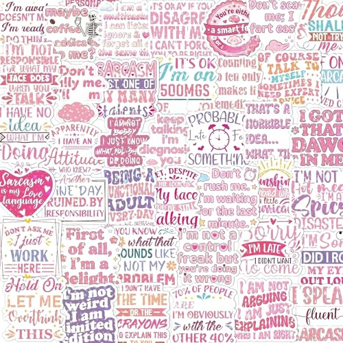 Eiapadeor Funny Sarcastic Stickers for Adults - 100 Pcs Pink Humorous Stickers for Water Bottle Scrapbook, Humor Holographic Sticker for Women, Vinyl Sticker for Laptop Skateboard Party Supplies