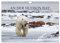AN DER HUDSON BAY (Wandkalender 2025 DIN A4 quer), CALVENDO Monatskalender