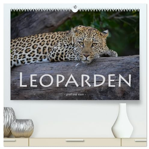 Leoparden - groß und klein (hochwertiger Premium Wandkalender 2026 DIN A2 quer), Kunstdruck in Hochglanz: Faszinierende Aufnahmen dieser wunderschönen Raubkatze (CALVENDO Tiere)
