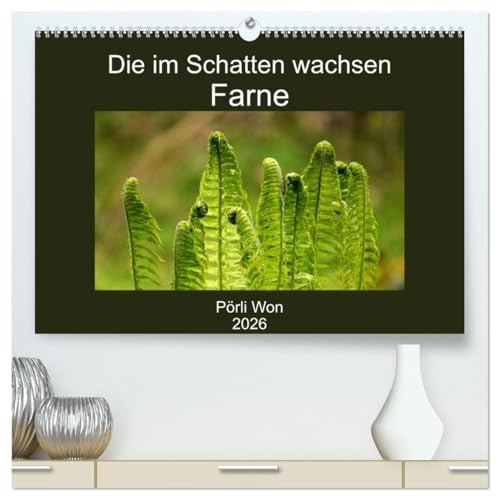 Die im Schatten wachsen - Farne (hochwertiger Premium Wandkalender 2026 DIN A2 quer), Kunstdruck in Hochglanz: Geheimnisvolle Farnwelt (CALVENDO Natur)