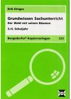 Grundwissen Sachunterricht / Der Wald mit seinen Bäumen: 3./4. Schuljahr (Bergedorfer Kopiervorlagen)