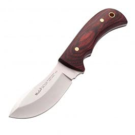 MUELA - SIOUX-10R. Cuchillo de caza Muela. Mango de madera de coral. Hoja 10.5 cm. Funda cuero. Herramienta para Caza, Pesca, Camping, Outdoor, Supervivencia y Bushcraft