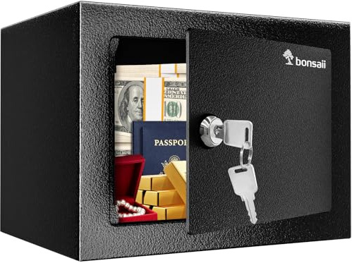 Bonsaii Safe Box with Key Lock, Steel Security Lock Box, 0.23 Cubic Feet, 9.06 W x 6.69 D x 6.69 H, Small Hidden Safe for Cash Jewelry