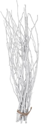 LIFKOME 10 Pezzi Decorativi Per Vasi Bastoncini in Naturale Per Composizioni Floreali Per Centrotavola e Decorazioni e Ufficio