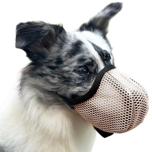 Maulkorb für Große Hunde, Prevent Kauen/Fressen/Beißen Hunde Maulkorb, Atmungsaktiv Reflektierende Einstellbare Maulkorb Mittlere Hund (Gelb, XL)