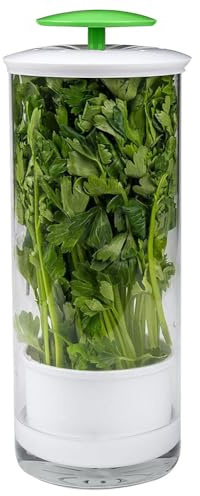 Boîte de conservation pour herbes fraîches avec ventilation pour coriandre, menthe, persil, asperges