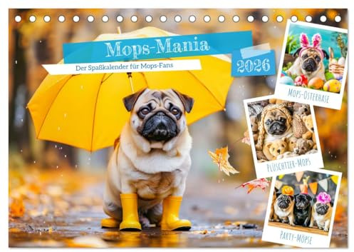 Mops-Mania - Der Spaßkalender für Mops-Fans (Tischkalender 2026 DIN A5 quer), CALVENDO Monatskalender: Lustige Bilder vom Mops-Hund für gute Laune (CALVENDO Tiere)
