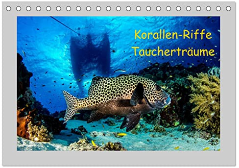 Korallen-Riffe Taucherträume (Tischkalender 2026 DIN A5 quer), CALVENDO Monatskalender: Unterwasseraufnahmen von den Korallenriffen der Philippinen (CALVENDO Natur)