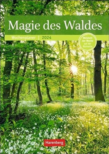 Magie des Waldes Wochenplaner 2024. Kalender mit Fotos, die die Schönheit des Waldes meisterhaft zur Geltung bringen. Praktischer Wandplaner mit ... mit Weisheit der Woche auf der Rückseite