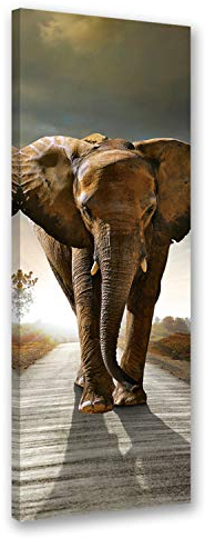Feeby Bilder Elefant auf der Straße XXL 40x120 cm 1 Teilig Wohnzimmer Schlafzimmer Büro Flur Modern Wandbilder Leinwandbilder Bild auf Leinwand Kunstdruck Wanddeko Design Afrika Natur Tier Braun