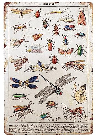 JOCASA Metallschild mit Insektenarten im Vintage-Stil, Retro-Design, Aluminium-Blechschild für Zuhause, Wanddekoration, Büro, Schlafzimmer, Schilder, Geschenk, 30,5 x 20,3 cm