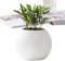 Blumentöpfe für Zimmerpflanzen, automatischer Blumentopf, für Sukkulenten, Veilchen, Efeu