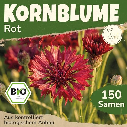 Little Plants BIO Kornblume Samen 150 Kornblumen Rot Blumensamen Samenfest für Blumengarten Blumen Samen für Balkon, Hochbeet und Garten