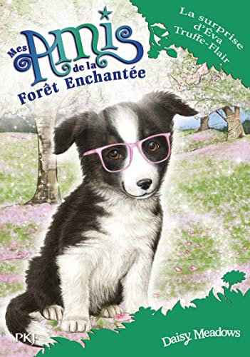 Mes amis de la forêt enchantée - tome 10 La surprise d'Eva Truffe-Flair (10)