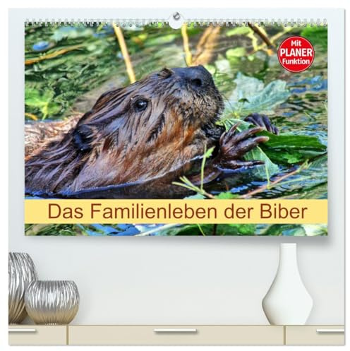 Das Familienleben der Biber (hochwertiger Premium Wandkalender 2026 DIN A2 quer), Kunstdruck in Hochglanz: Größte Nagetier in Europa (CALVENDO Tiere)