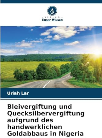 Bleivergiftung und Quecksilbervergiftung aufgrund des handwerklichen Goldabbaus in Nigeria