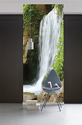 Komar 157-DV1 Vlies Fototapete SWOOSH-100 x 280 cm-Tapete, Wand Dekoration, Wasserfall, Fluss, Natur, Wald, See-157-DV1, bunt