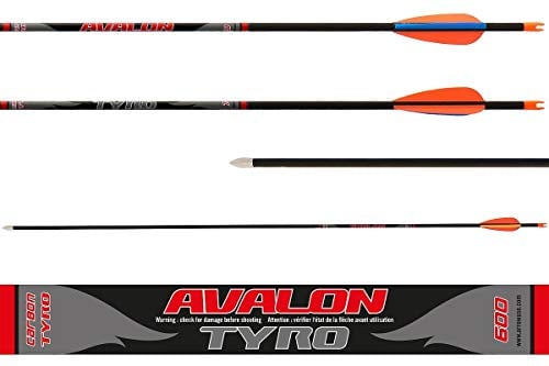 Florsol Avalon Carbonpfeile Tyro Spine 800 6 Stück