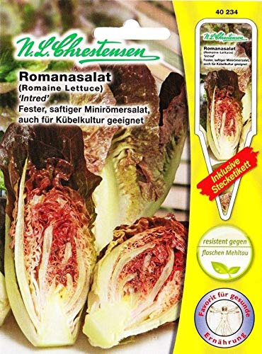 Portal Cool Gohar 'Intred' - Sat, Salat, Mini-Römersalat Ca. 60 Samen 40234