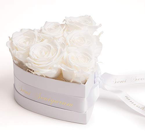 ROSEMARIE SCHULZ Heidelberg Seni Seviyorum Hediye Rosenherzherz Infinity Rosenbox in Herzform konservierte Rosen Geschenk für Frauen (Seni Seviyorum, Weiß)