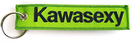 RENEGADE Motorrad Schlüsselanhänger aus Stoff mit Schlüsselring Bestickt & Kratzfest (130 x 30 mm, grün). Ideal für Ihr Motorrad (Kawasexy grün)