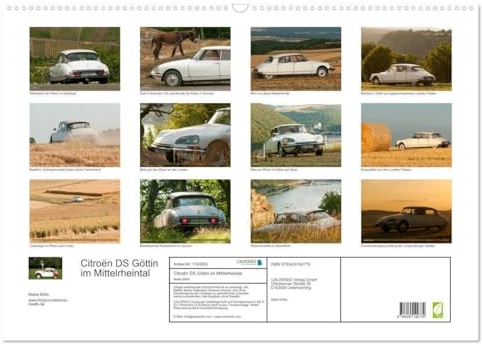 Citroën DS Göttin im Mittelrheintal (Wandkalender 2025 DIN A2 quer), CALVENDO Monatskalender