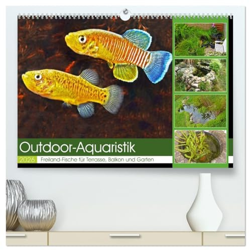 Outdoor-Aquaristik (hochwertiger Premium Wandkalender 2026 DIN A2 quer), Kunstdruck in Hochglanz: Freiland-Fische für Terrasse, Balkon und Garten (CALVENDO Tiere)