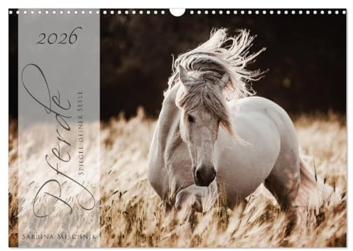 Pferde - Spiegel deiner Seele (Wandkalender 2026 DIN A3 quer), CALVENDO Monatskalender: Lassen Sie sich entführen in die Faszinierende Welt der Pferde (CALVENDO Tiere)