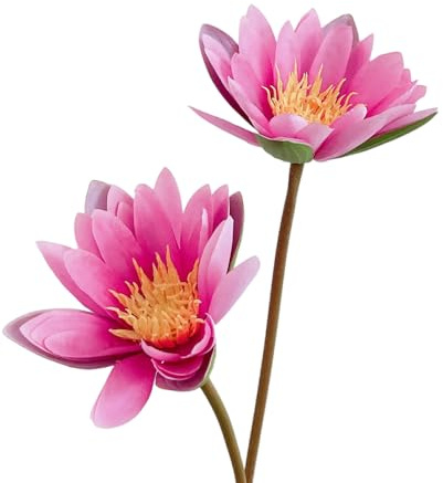 BQEE Artificial Water Lily Bouquet, Artificial Lotus,60cm/23.6 inches, 2 Flower Sticks for Wedding, Home, Office Decor (fuchsia)