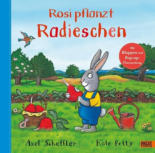 Rosi pflanzt Radieschen: Bilderbuch mit Klappen und einer Pop-up-Überraschung