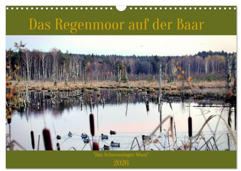 Das Regenmoor auf der Baar (Wandkalender 2026 DIN A3 quer), CALVENDO Monatskalender: Das Moor als Ursprung des Neckars (CALVENDO Natur)