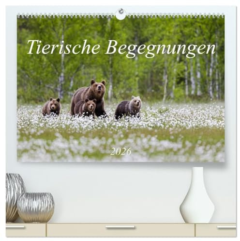 Tierische Begegnungen (hochwertiger Premium Wandkalender 2026 DIN A2 quer), Kunstdruck in Hochglanz: Tierbilder aus Europas Natur (CALVENDO Tiere)