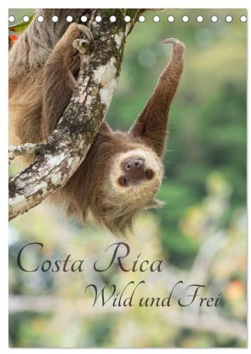Kalender 2027 · Costa Rica Wild und Frei | Exotische Tiere im Regenwald erleben · DIN A5 hoch · CALVENDO Tischkalender