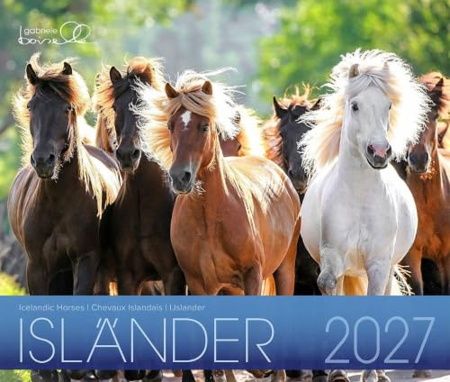 Isländer 2027: Islandpferde