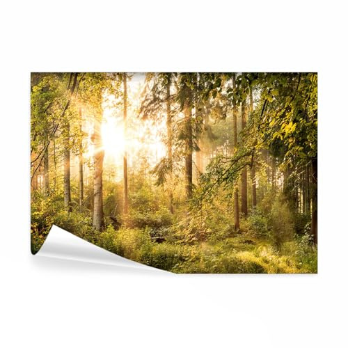 decomonkey Fototapete Wald, 350x256 cm, XL, Landschaft Herbst Natur, Tapete | Wandbild, Bild, Tapeten, Wandtapete