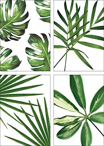 ARTLAND Wanddeko Poster & Kunstdrucke 4er Set Bild Wandposter in Din A4 je Natur Pflanzen Monstera Blätter Dschungel Modern J4JY