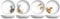 Wrendale Designs Set of 4 Pasta Bowls