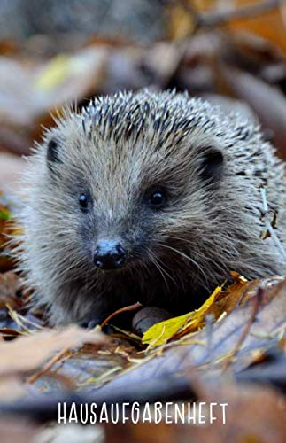 Hausaufgabenheft: mit Igel, ca. A5, für 1 komplettes Schuljahr