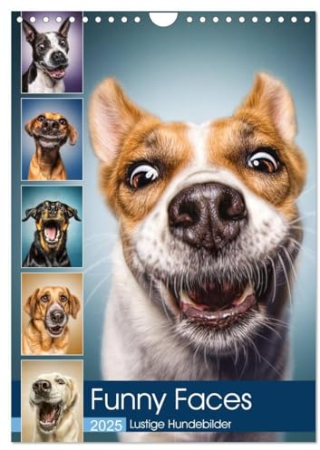 Funny Faces - Lustige Hundebilder (Wandkalender 2025 DIN A4 hoch), CALVENDO Monatskalender: Herrliche Hunde-Gesichter mit einer Prise Humor. (CALVENDO Tiere)