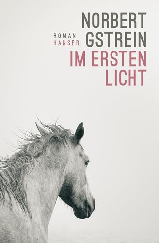Im ersten Licht: Roman