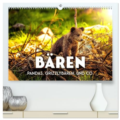 Bären - Pandas, Grizzlybären und Co. (hochwertiger Premium Wandkalender 2026 DIN A2 quer), Kunstdruck in Hochglanz: Niedlich und furchterregend zugleich. (CALVENDO Tiere)