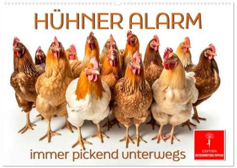 Hühner Alarm (Wandkalender 2026 DIN A2 quer), CALVENDO Monatskalender: Buntes Federvieh - liebenswerte Hühnerschar. (CALVENDO Tiere)