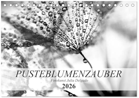 Pusteblumenzauber in schwarzweiß (Tischkalender 2026 DIN A5 quer), CALVENDO Monatskalender: Phantastische Nahaufnahmen von Pusteblumen (CALVENDO Natur)
