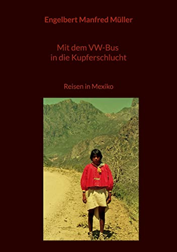 Mit dem VW-Bus in die Kupferschlucht: Reisen in Mexiko