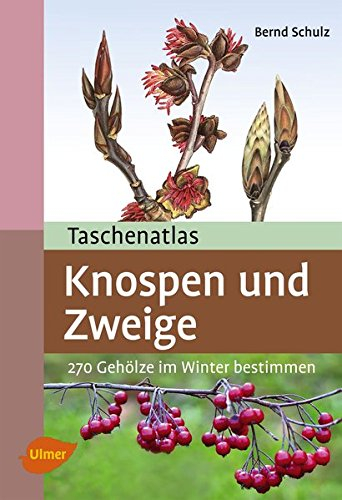 Taschenatlas Knospen und Zweige: 270 Gehölze im Winter bestimmen (Taschenatlanten)