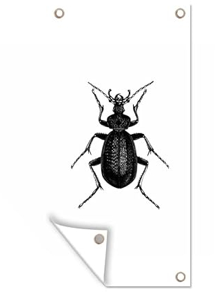 MuchoWow Outdoor-Poster Poster Wanddeko draußen Deko Garten Gartenposter 30x60 cm Schwarz und weiß - Käfer - Vintage - Insekten