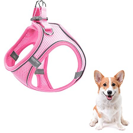 Hundegeschirr,Welpengeschirr Kleine Hunde,Hundegeschirr Welpen Kleine Hunde,Welpengeschirr,Brustgeschirr Hund,Welpen Geschirr Hund,Reflektierend,XS,Rosa