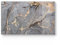 DEQORI Frühstücksbrett Glas | klein 23x14 cm | Motiv Elegantes Marmormuster | Design Schneidebrett für Küche | Frühstücksbrettchen antibakteriell & rutschfest | Glasplatte & Servierplatte